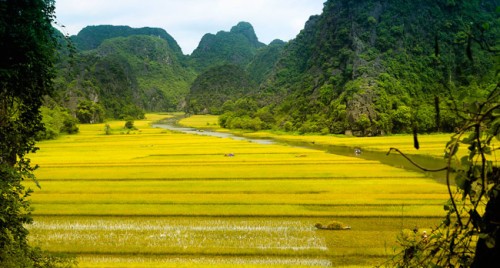 Tam Coc-Bich Dong’s charming scenery - ảnh 4